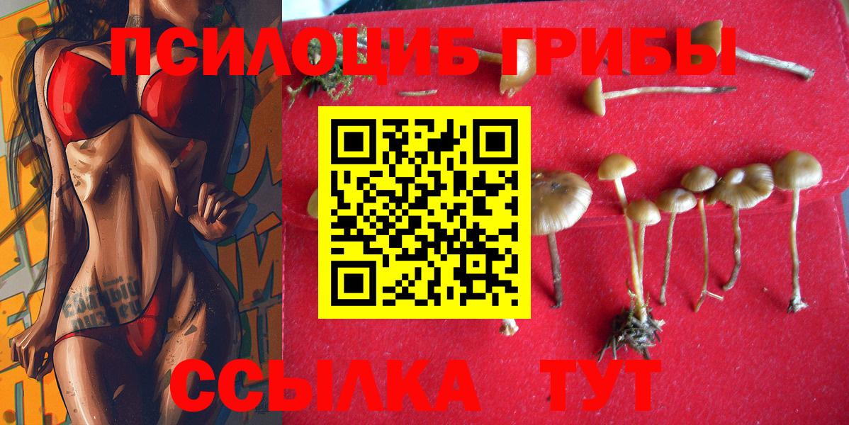 Псилоцибиновые грибы мицелий  наркотики  Таганрог  Галлюциногенные грибы Psilocybe  Вход с VPN 