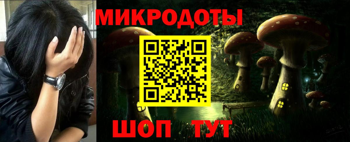 Галлюциногенные грибы Cubensis Таганрог